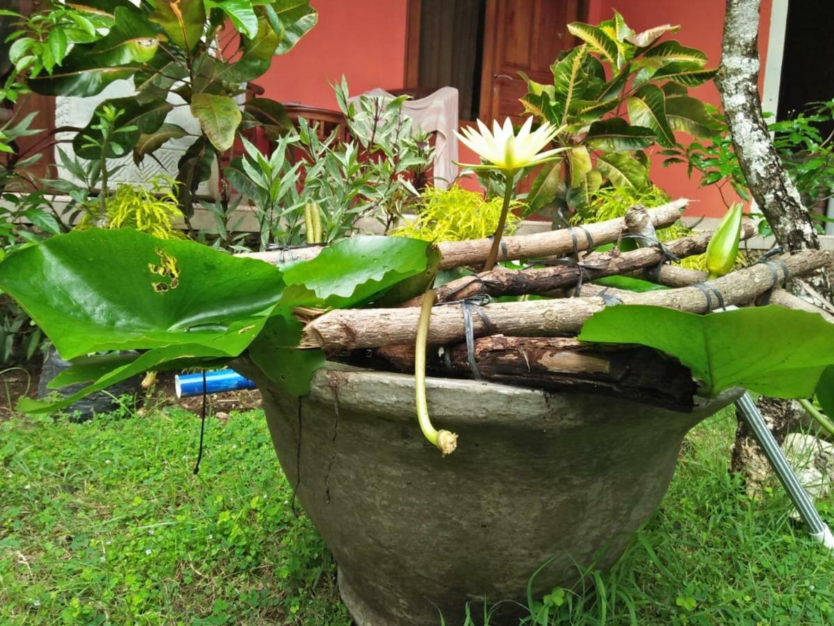 Made Roejas Homestay อูลูวาตู ภายนอก รูปภาพ